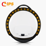IPS142 Zero 260WH Battery Unicycle Scooter